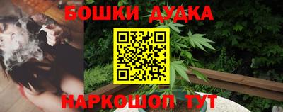 apvp Моздок