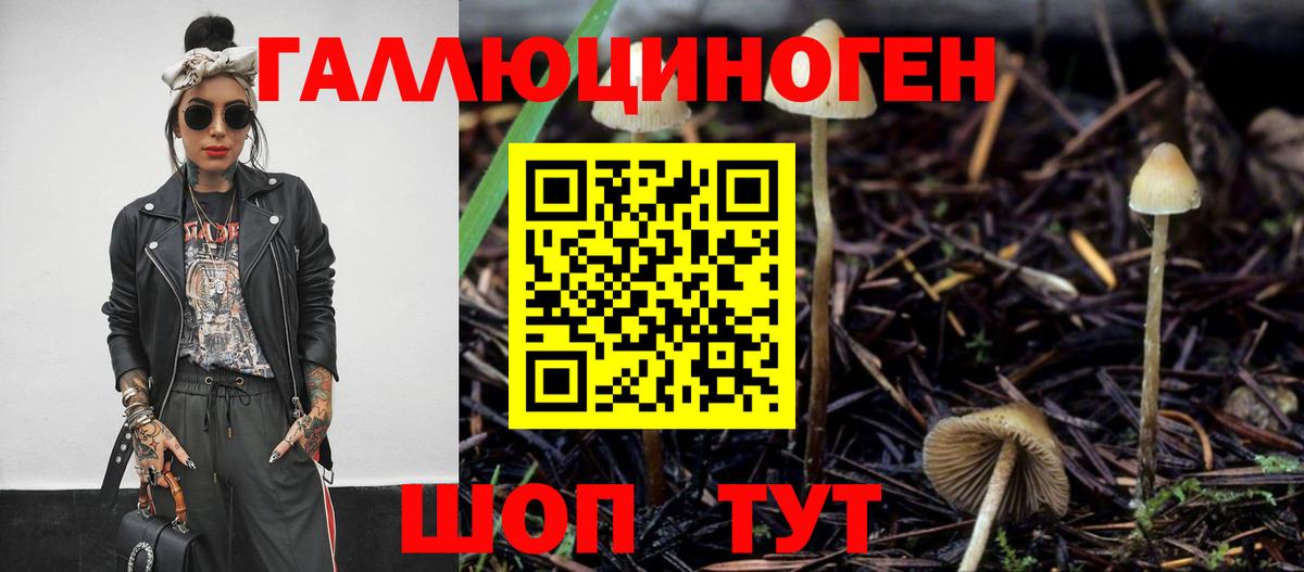 Галлюциногенные грибы мицелий  Вход с VPN  Торжок 